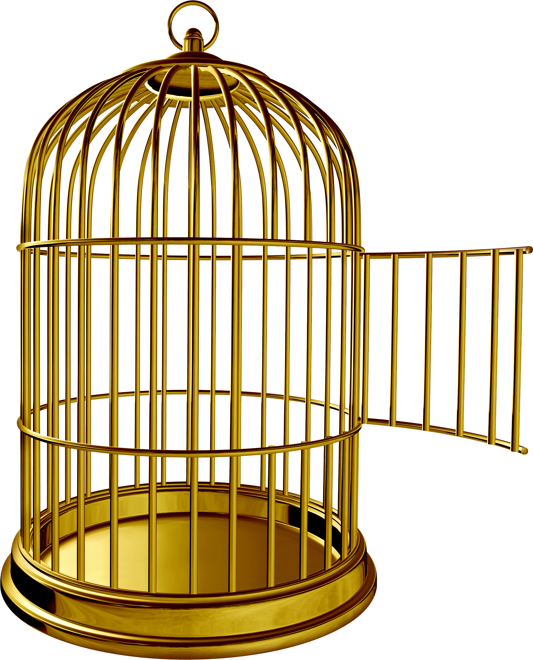 Cage PNG HD Quality