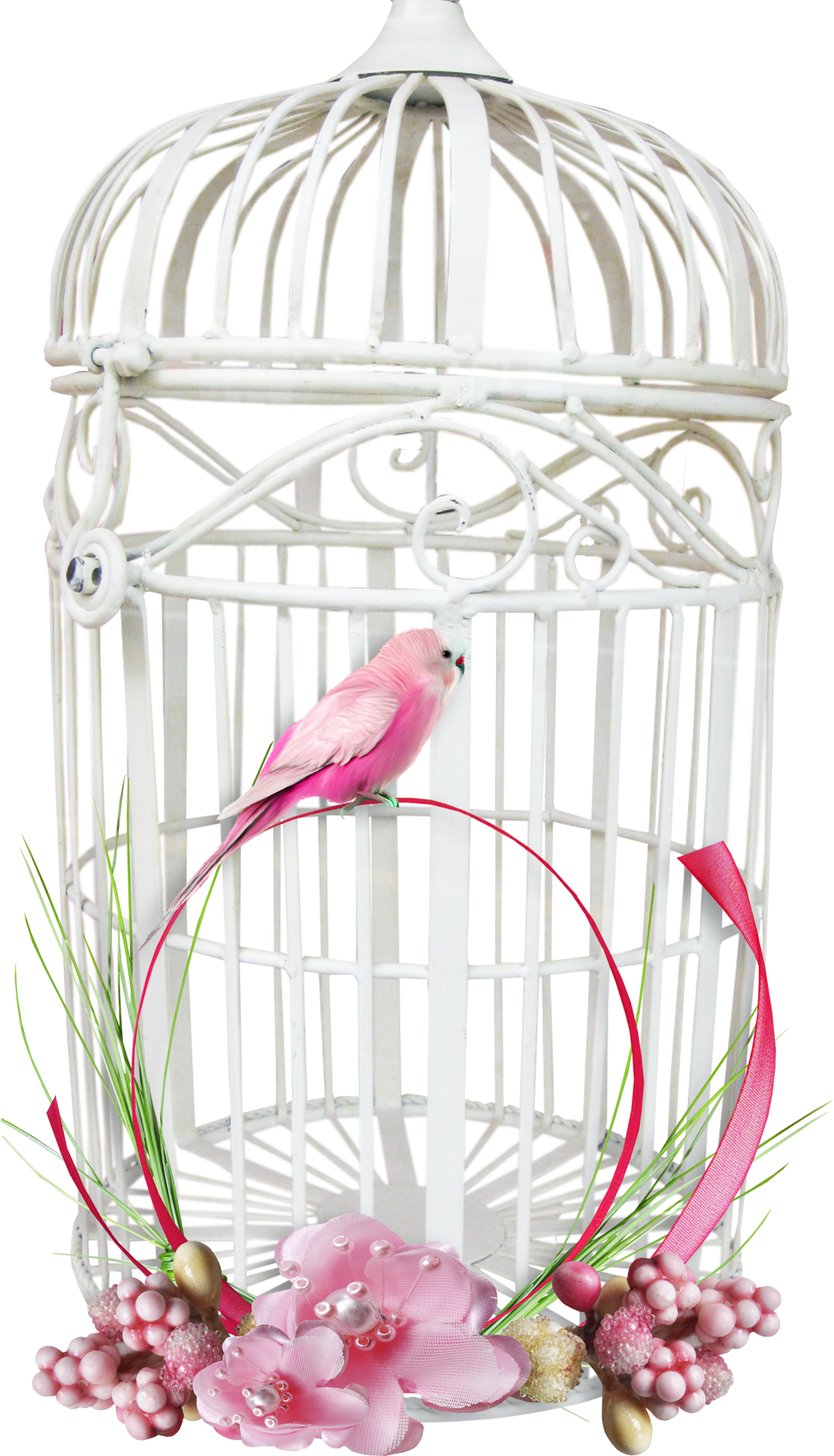 Cage PNG Pic Background