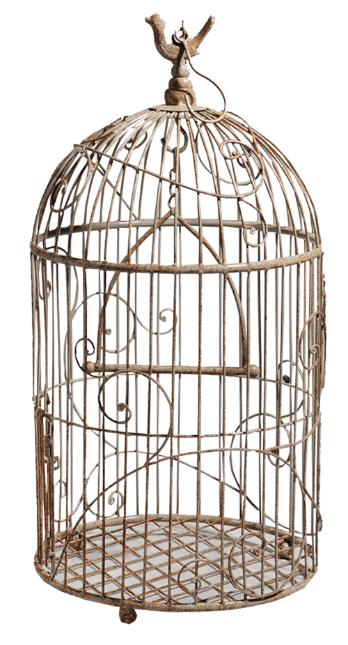 Cage Transparent Free PNG