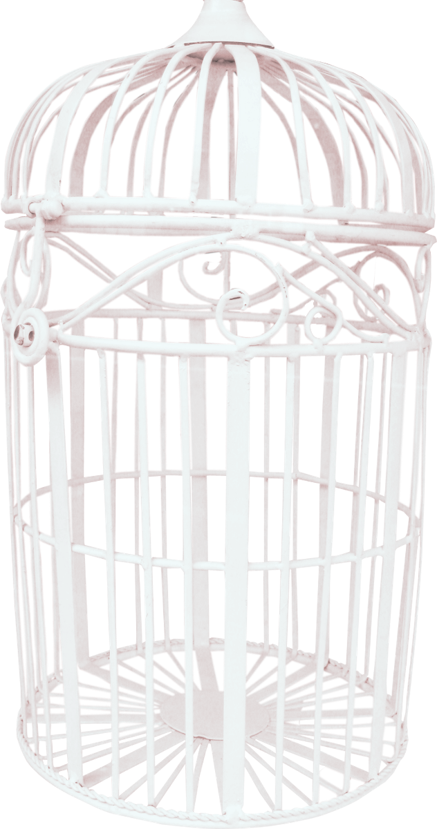 Cage Transparent PNG