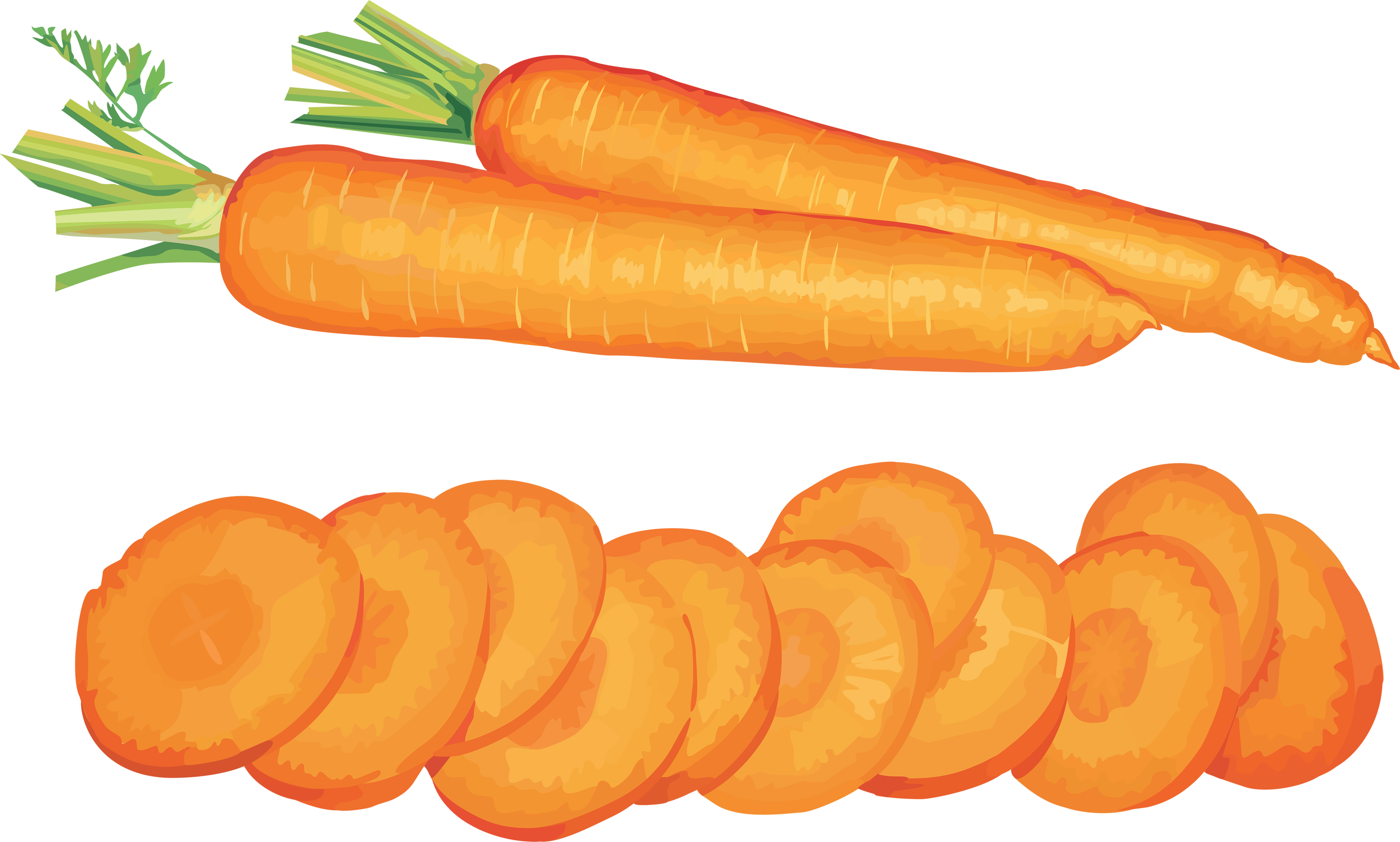 Carrot PNG Clipart Background