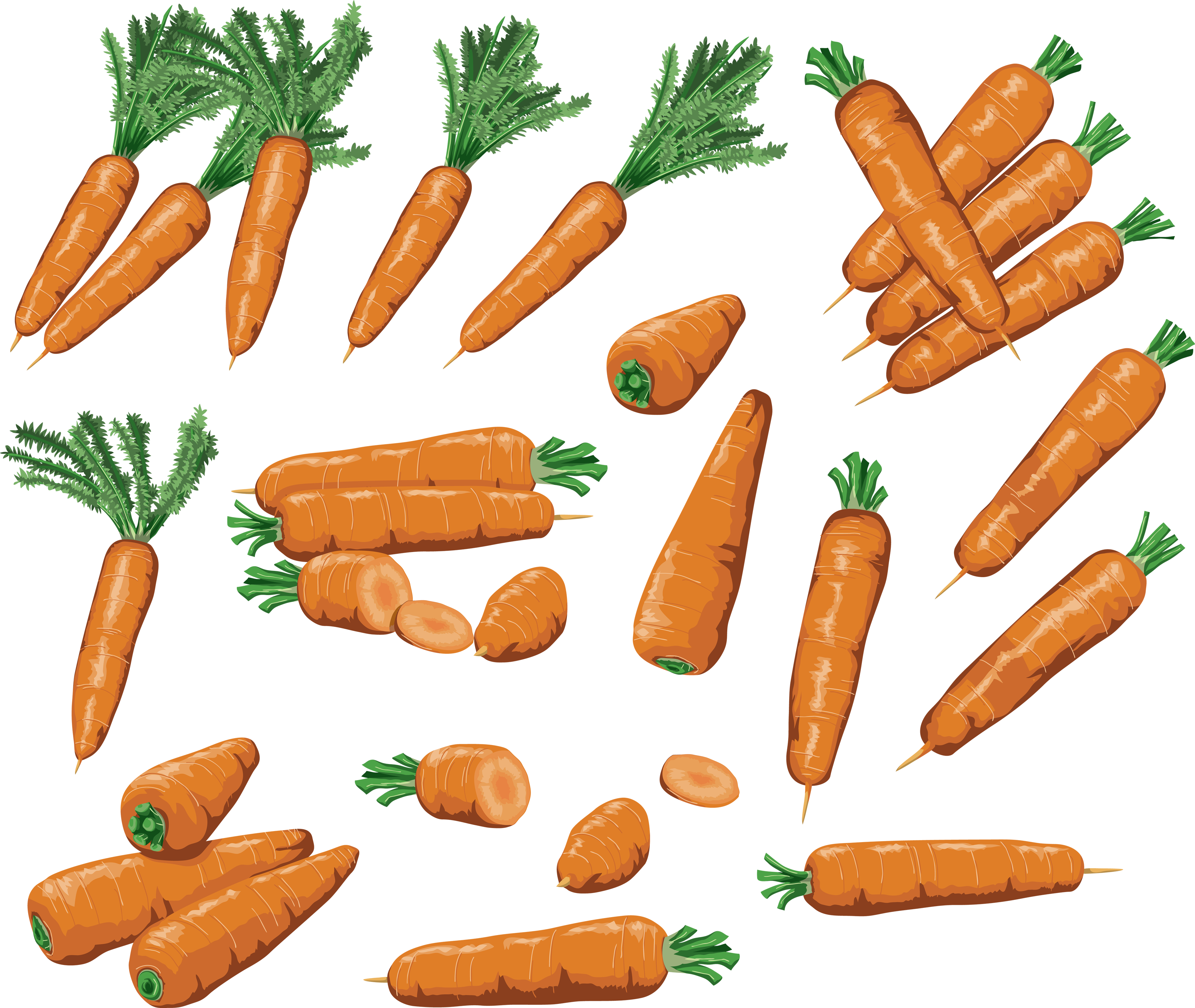 Carrot Transparent Background
