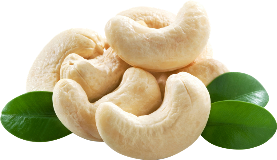 Cashew Background PNG