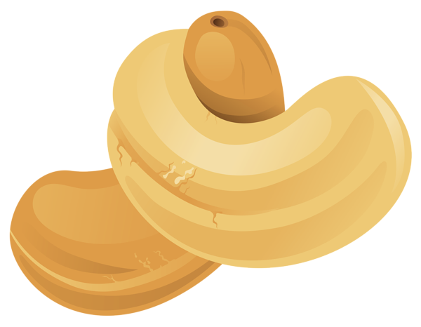 Cashew Download Free PNG