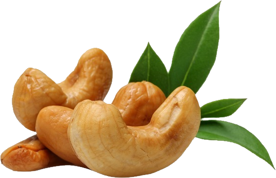 Cashew PNG Clipart Background