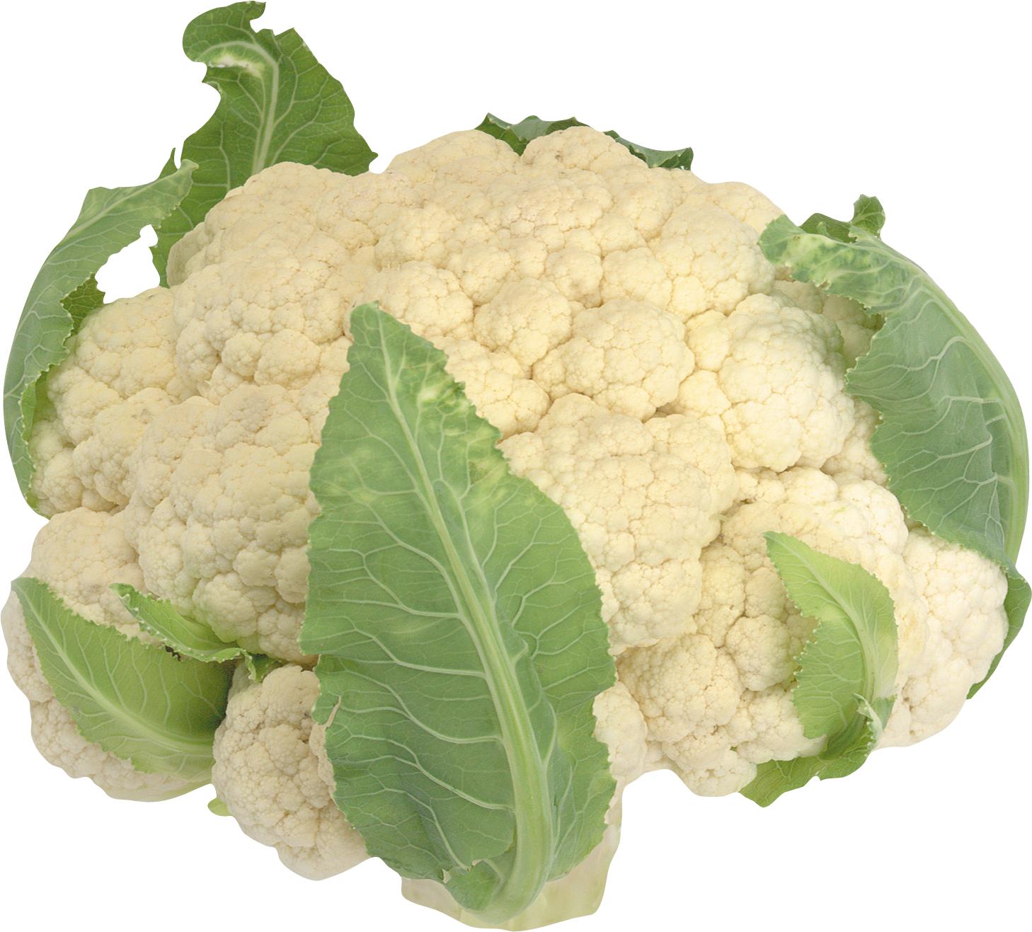 Cauliflower Background PNG Image