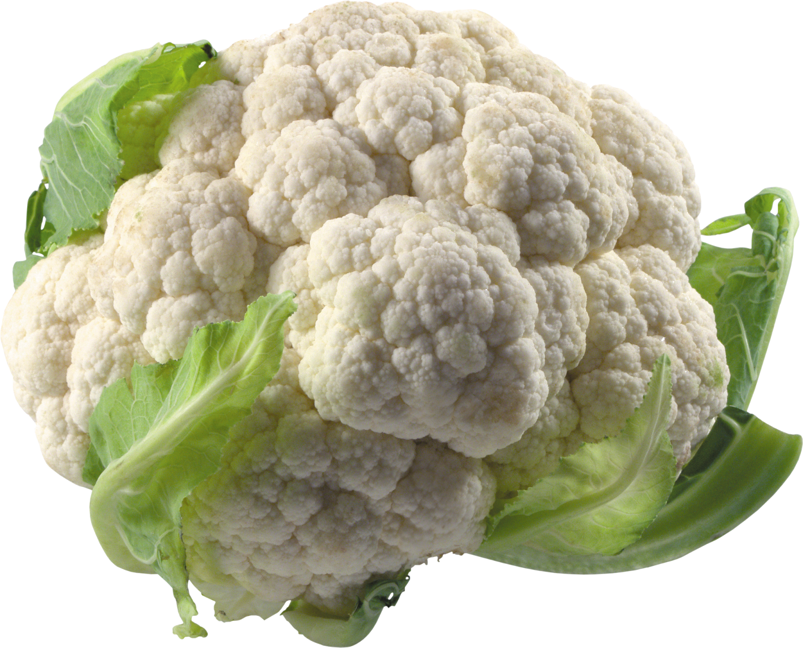 Cauliflower PNG Pic Background