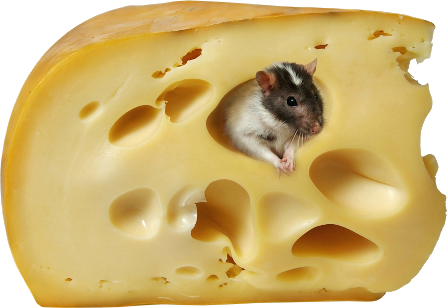 Cheese Transparent Free PNG