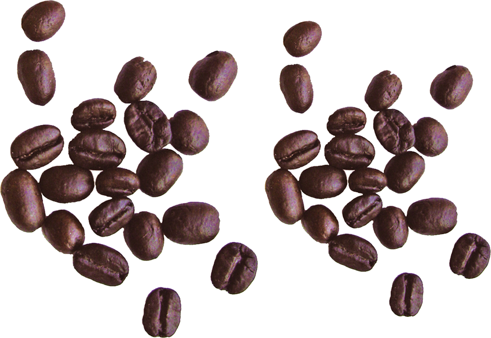 Coffee Beans PNG HD Quality