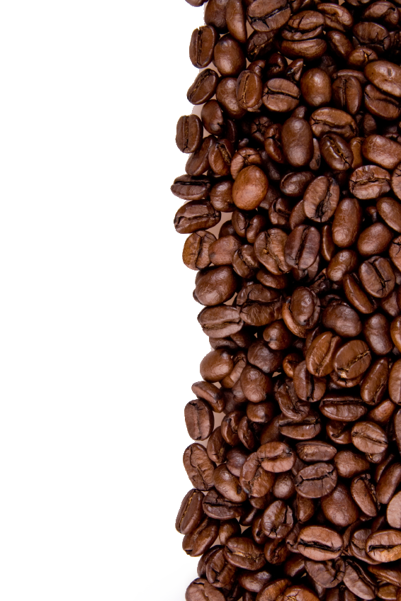 Coffee Beans Transparent Free PNG