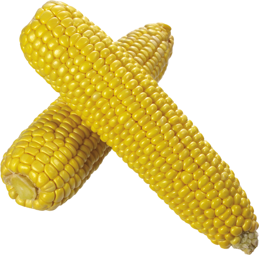 Corn Background PNG Image