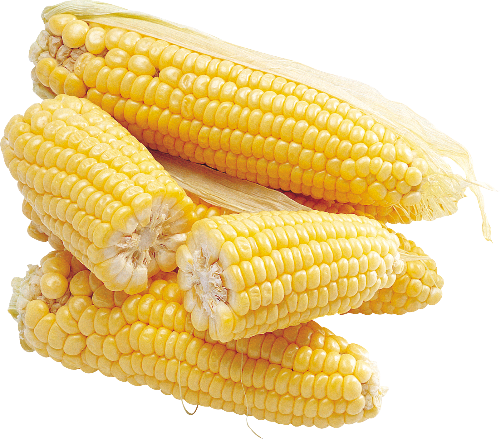 Corn Background PNG
