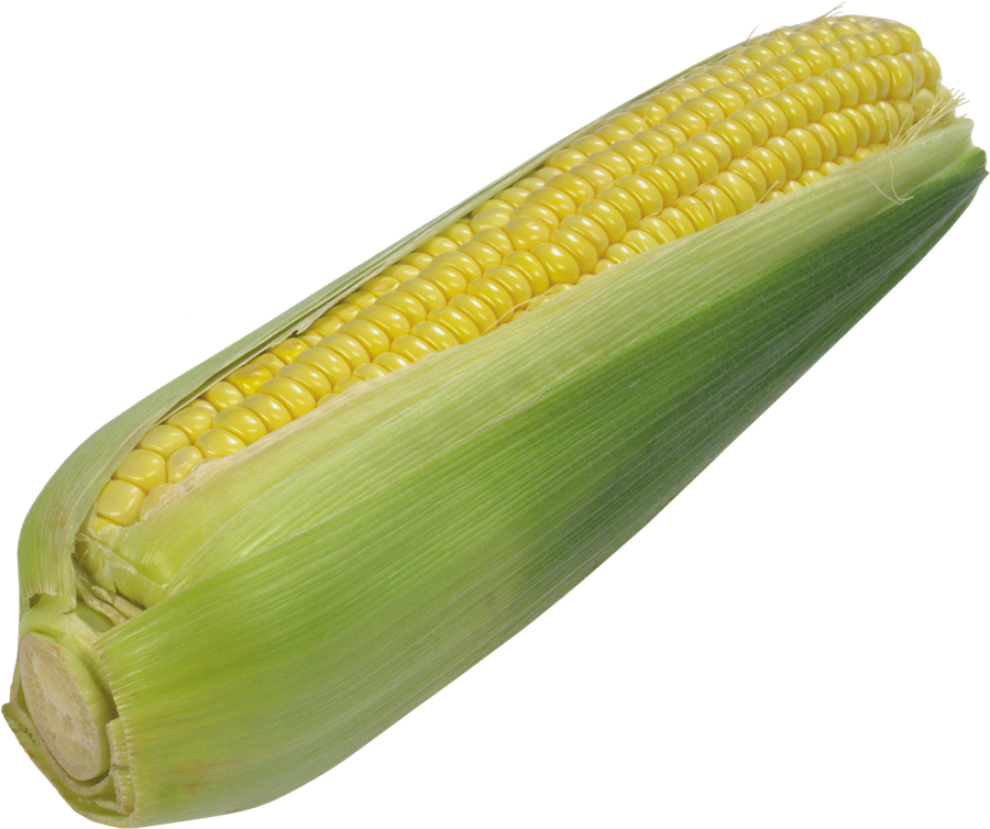 Corn Free PNG