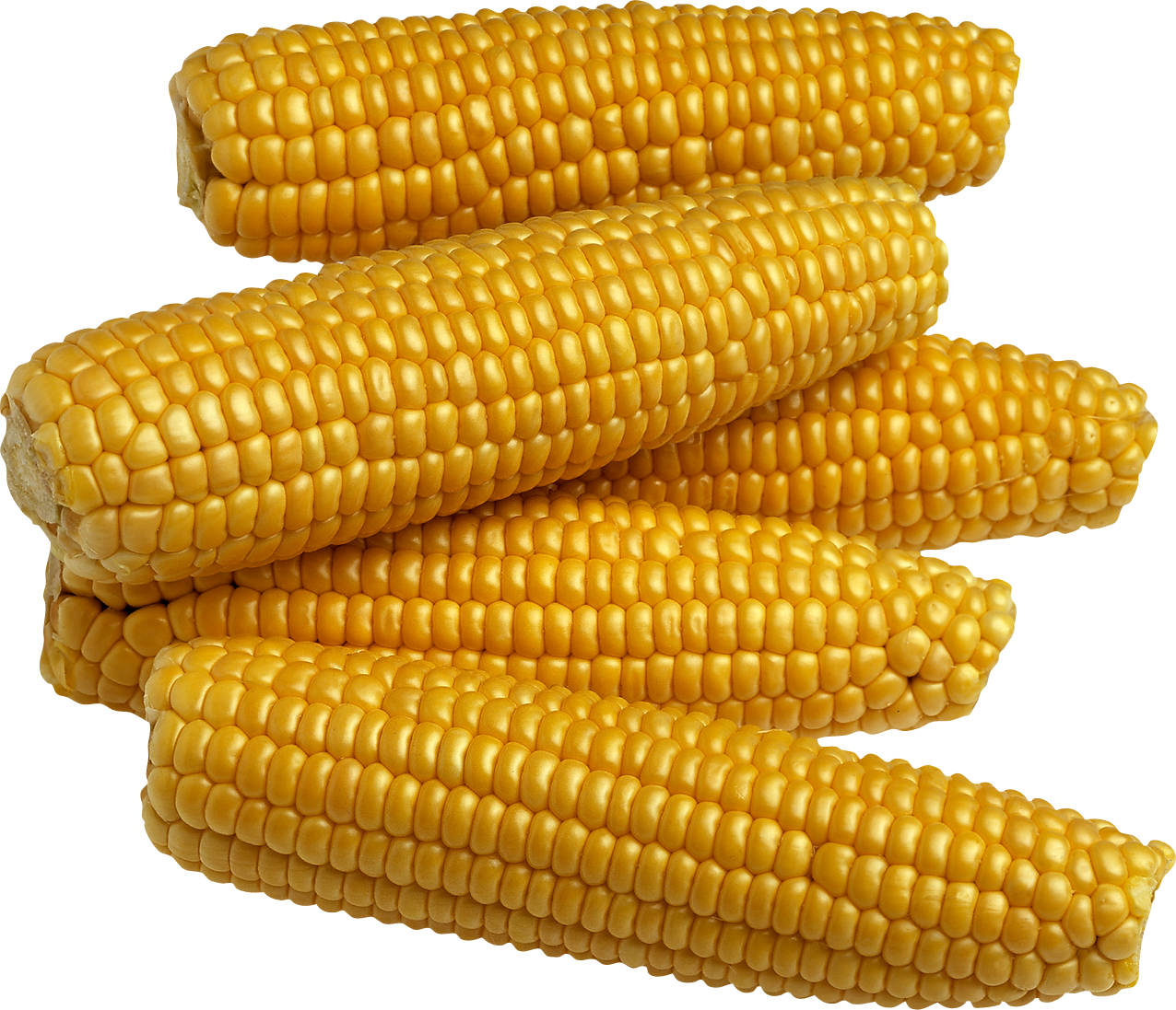 Corn PNG Background