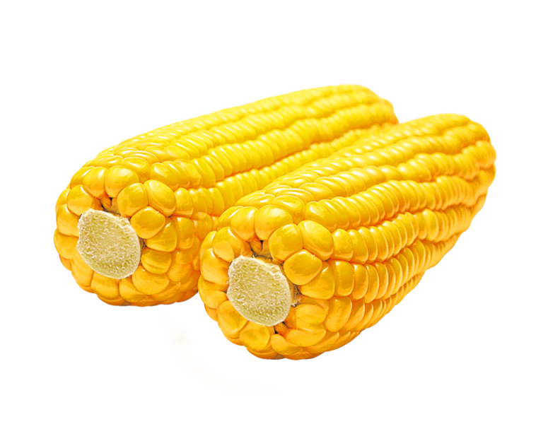 Corn PNG Photos
