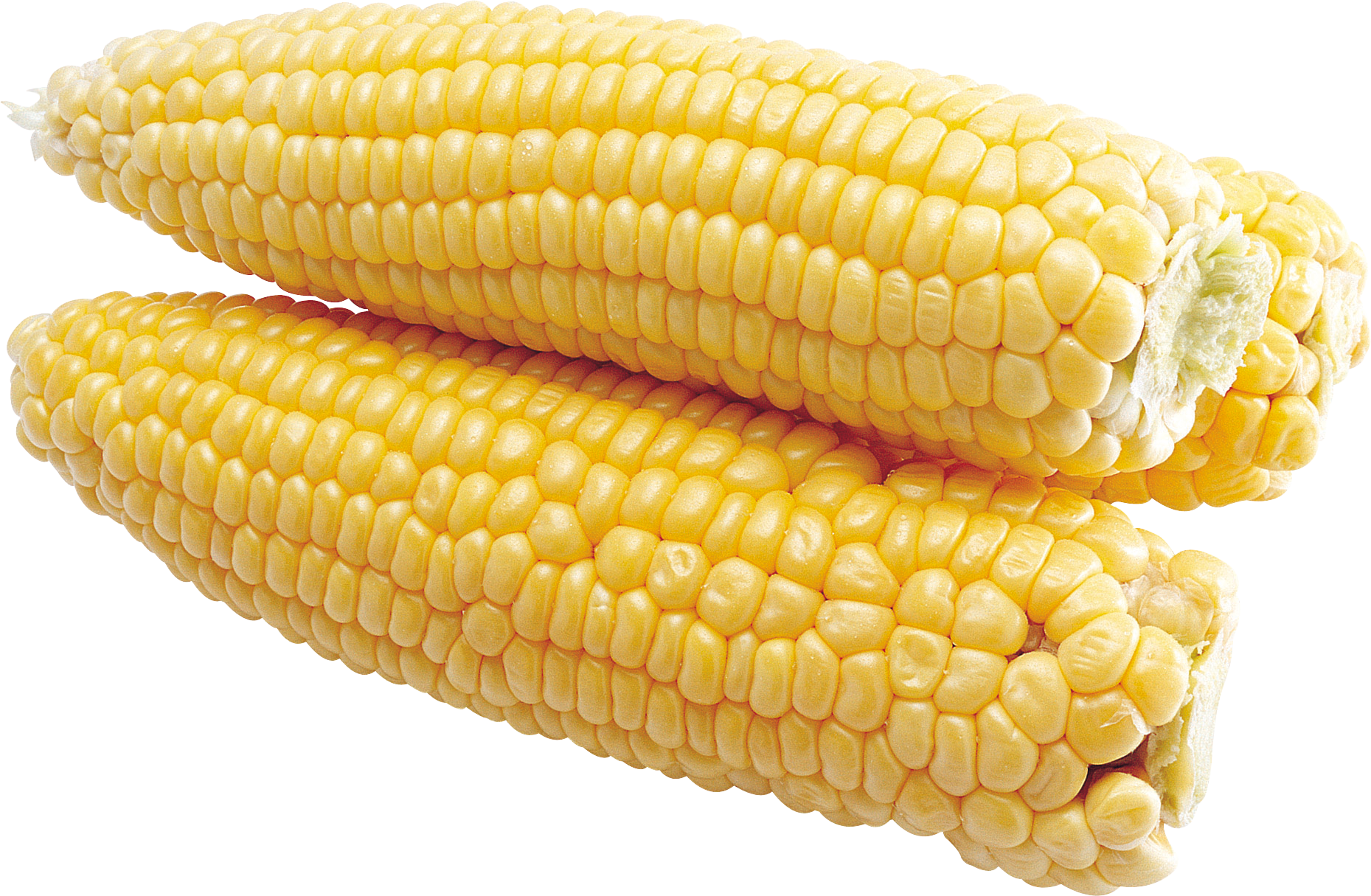 Corn PNG Pic Background