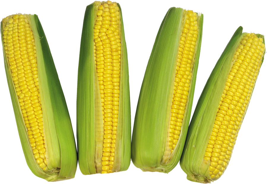 Corn Transparent File