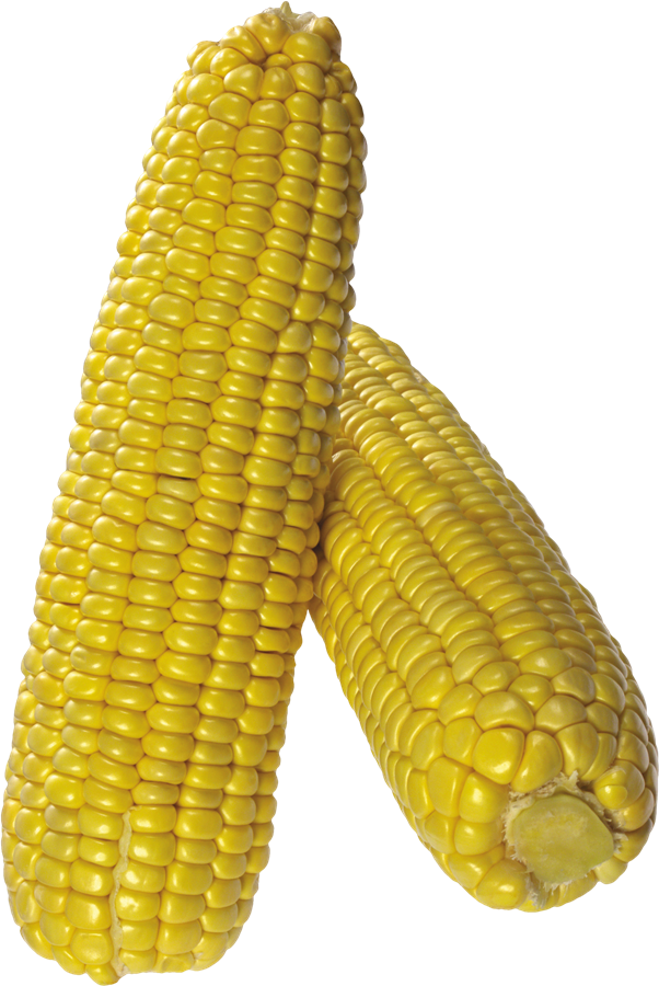 Corn Transparent Free PNG