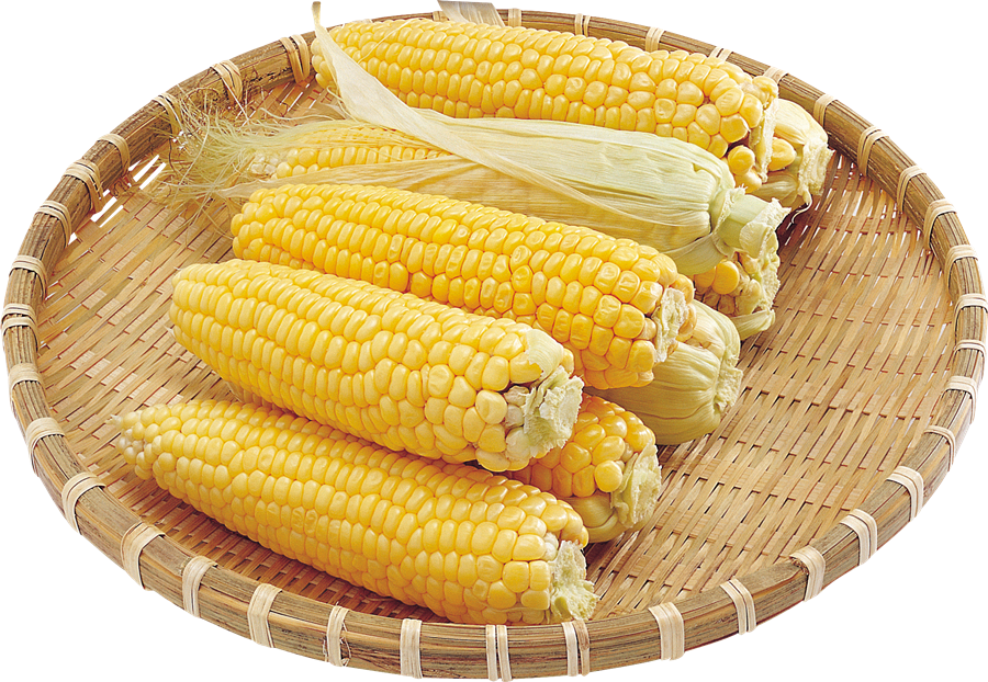 Corn Transparent Image