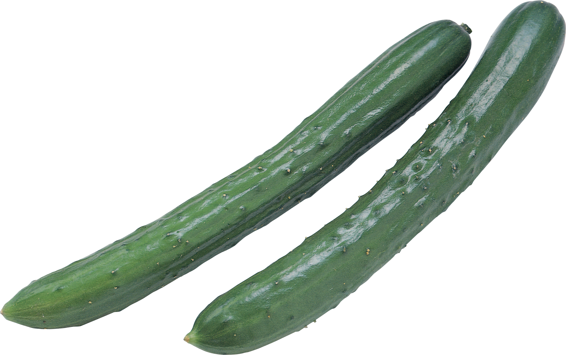 Cucumber Background PNG Image