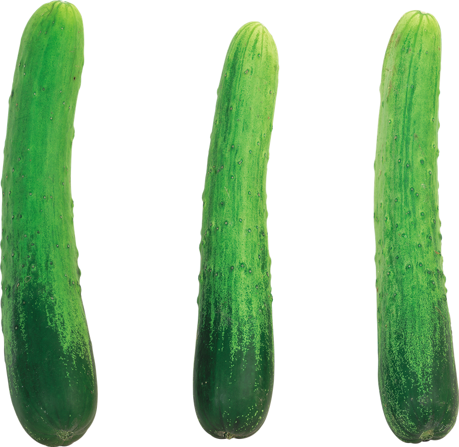 Cucumber Free PNG