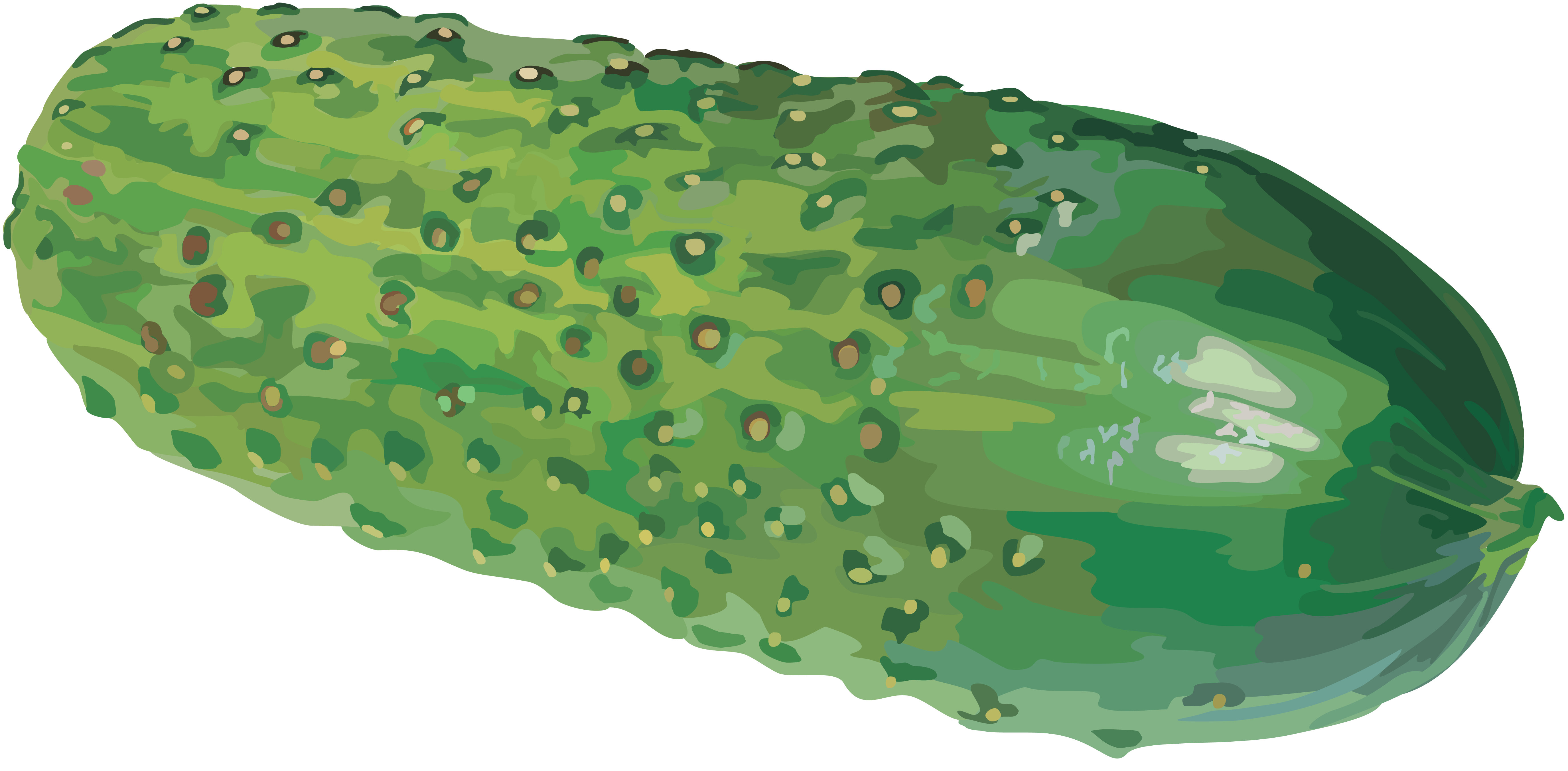 Cucumber PNG Clipart Background