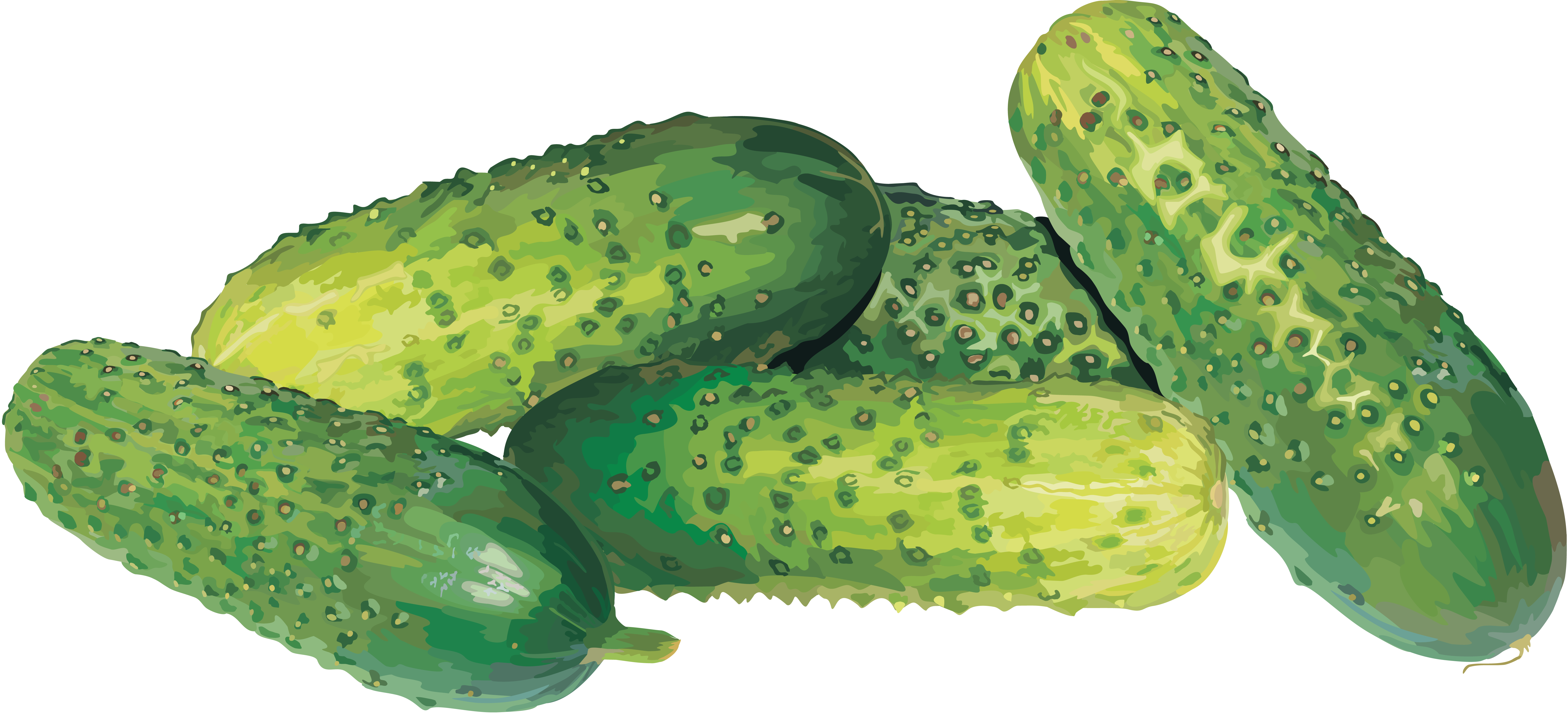 Cucumber PNG HD Quality
