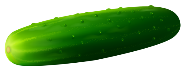 Cucumber PNG Pic Background