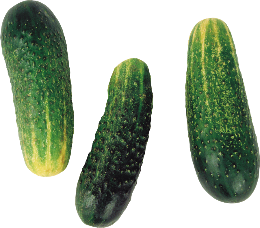 Cucumber Transparent File