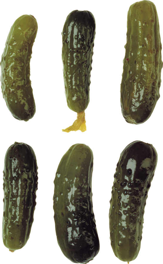 Cucumber Transparent Free PNG