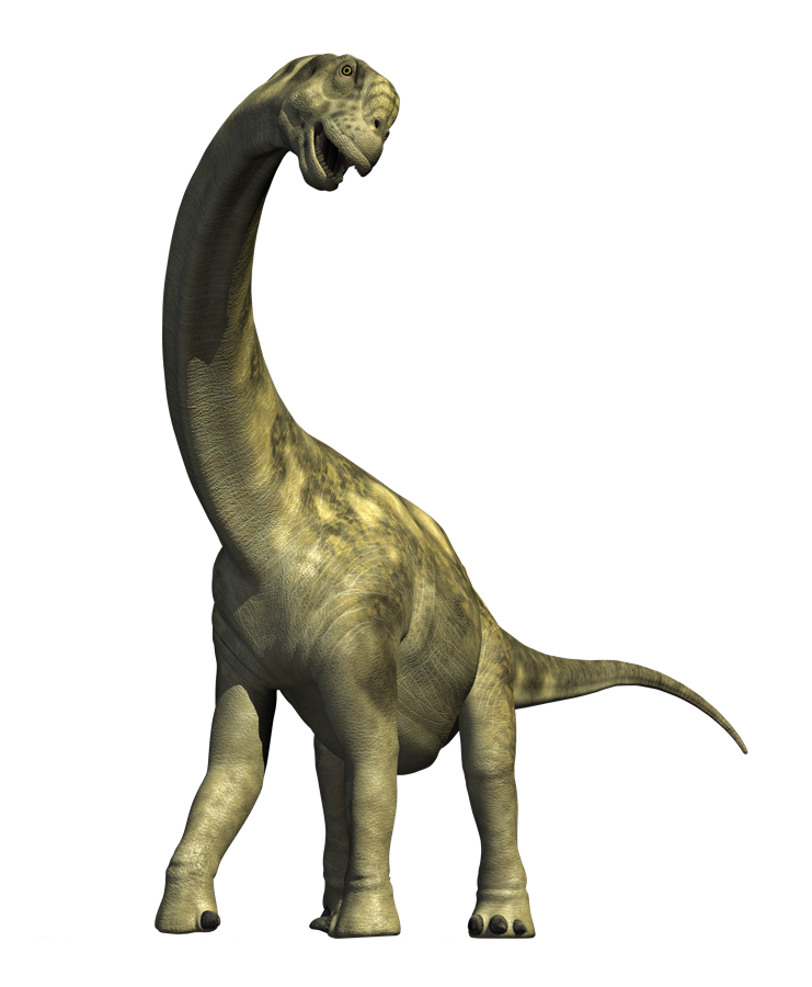 Dinosaur Transparent PNG