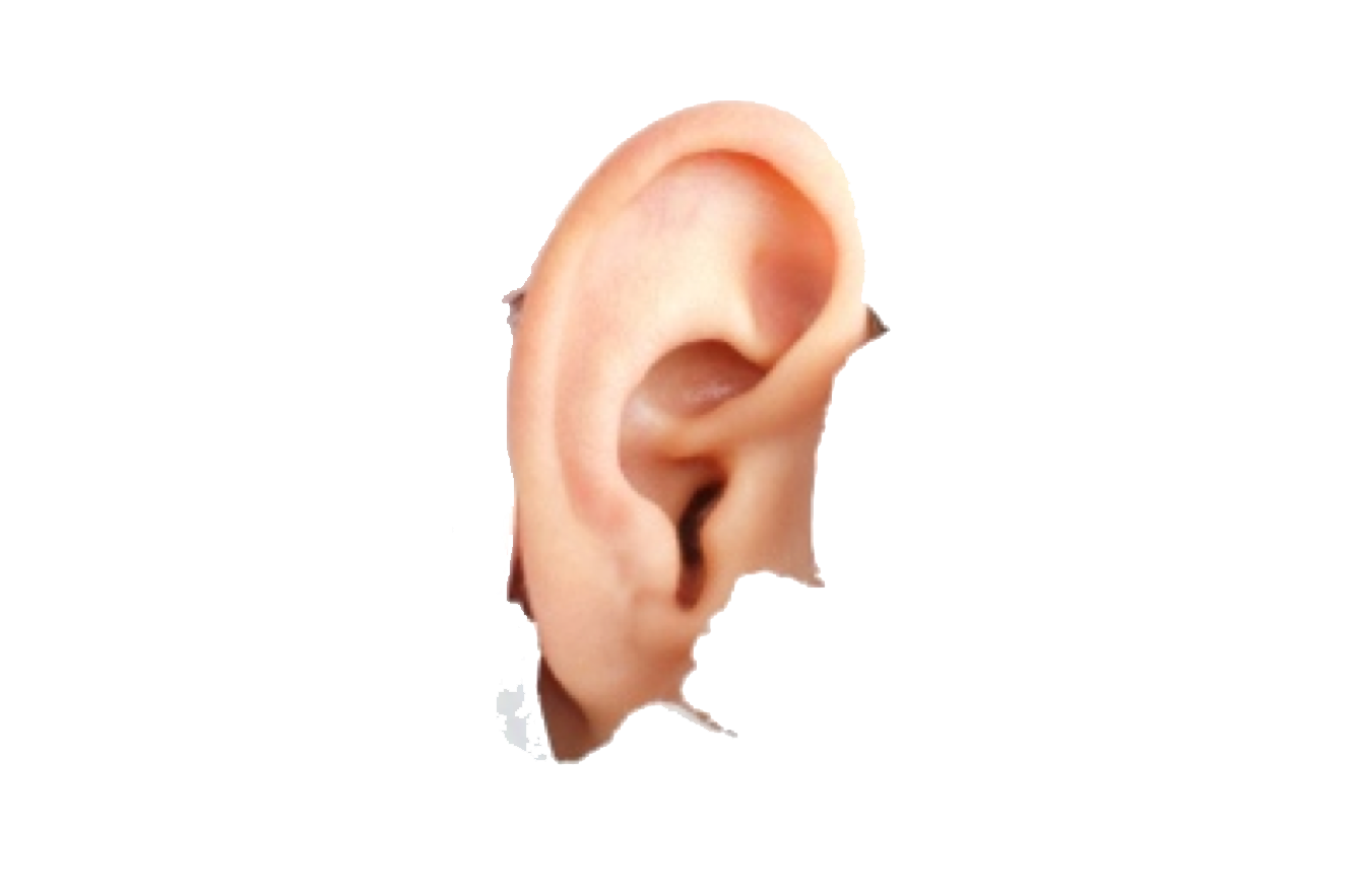 Ear Transparent Free PNG