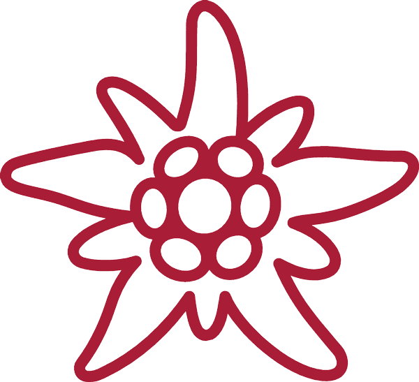 Edelweiss PNG Free File Download