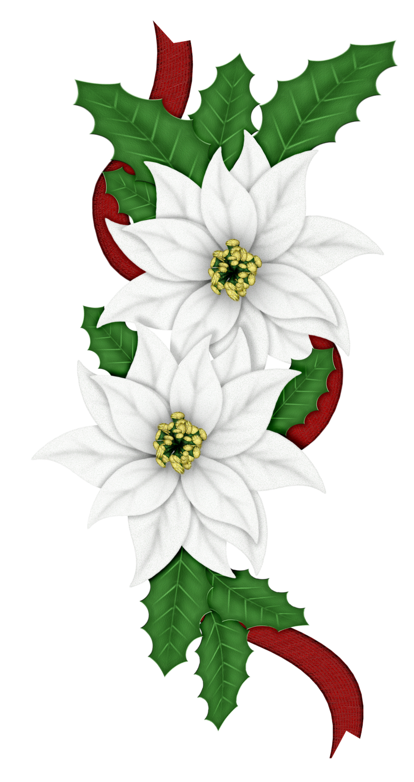 Edelweiss Transparent File