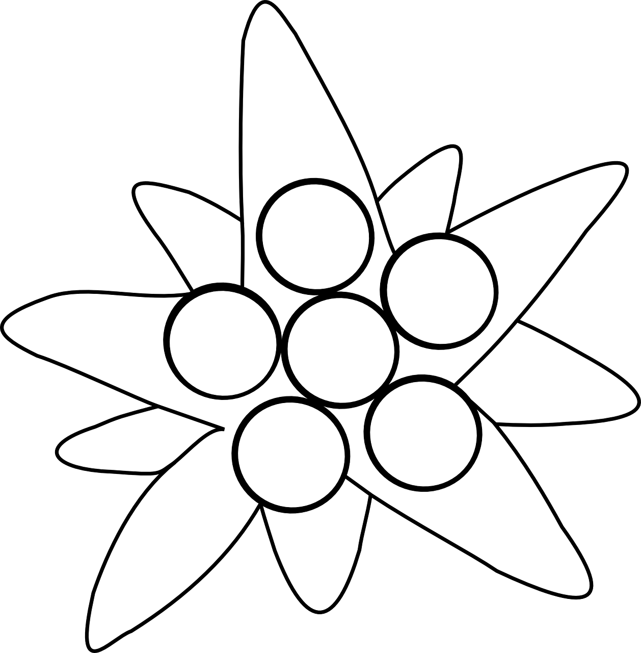 Edelweiss Transparent Image