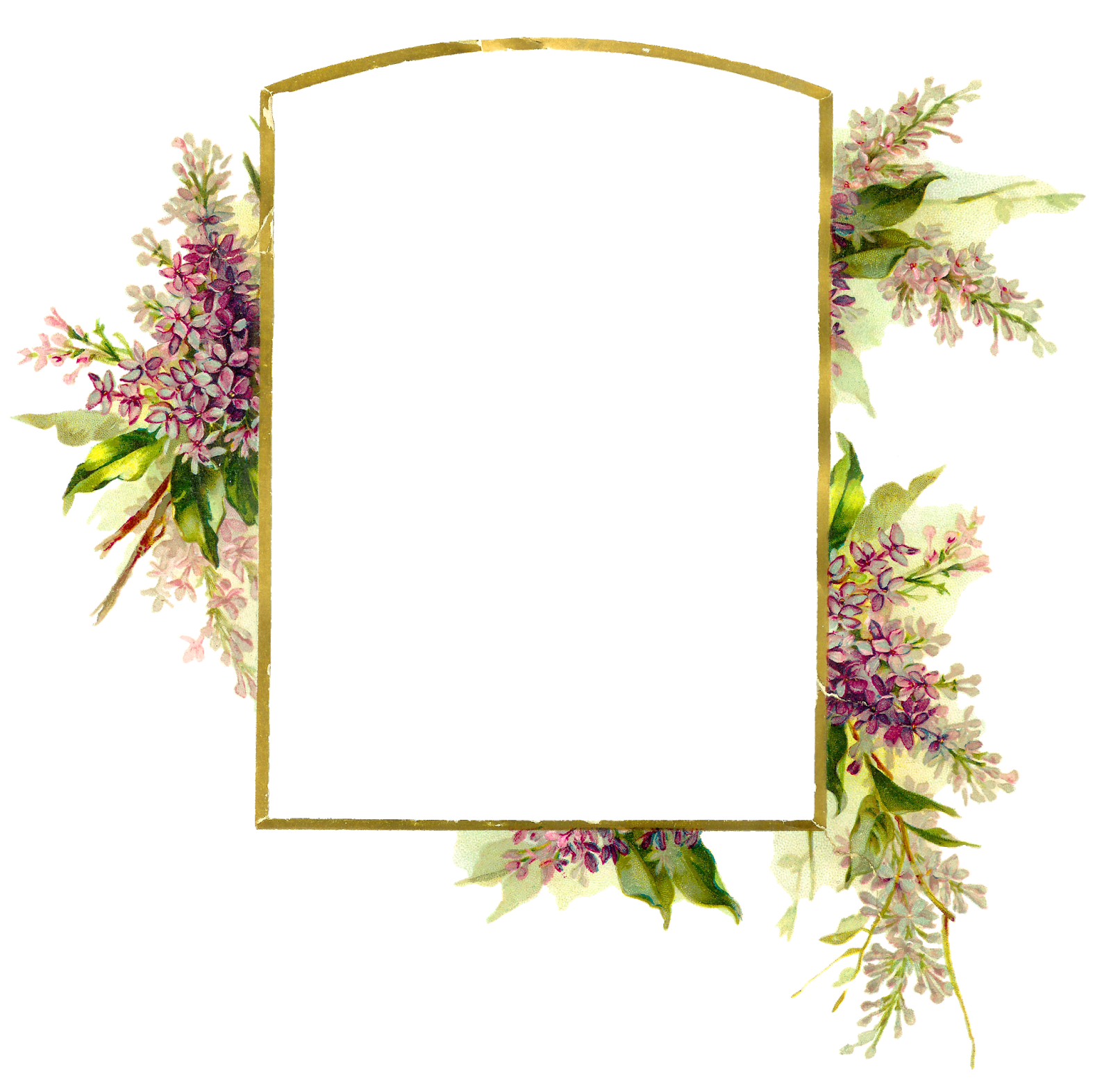Floral Frame Background PNG