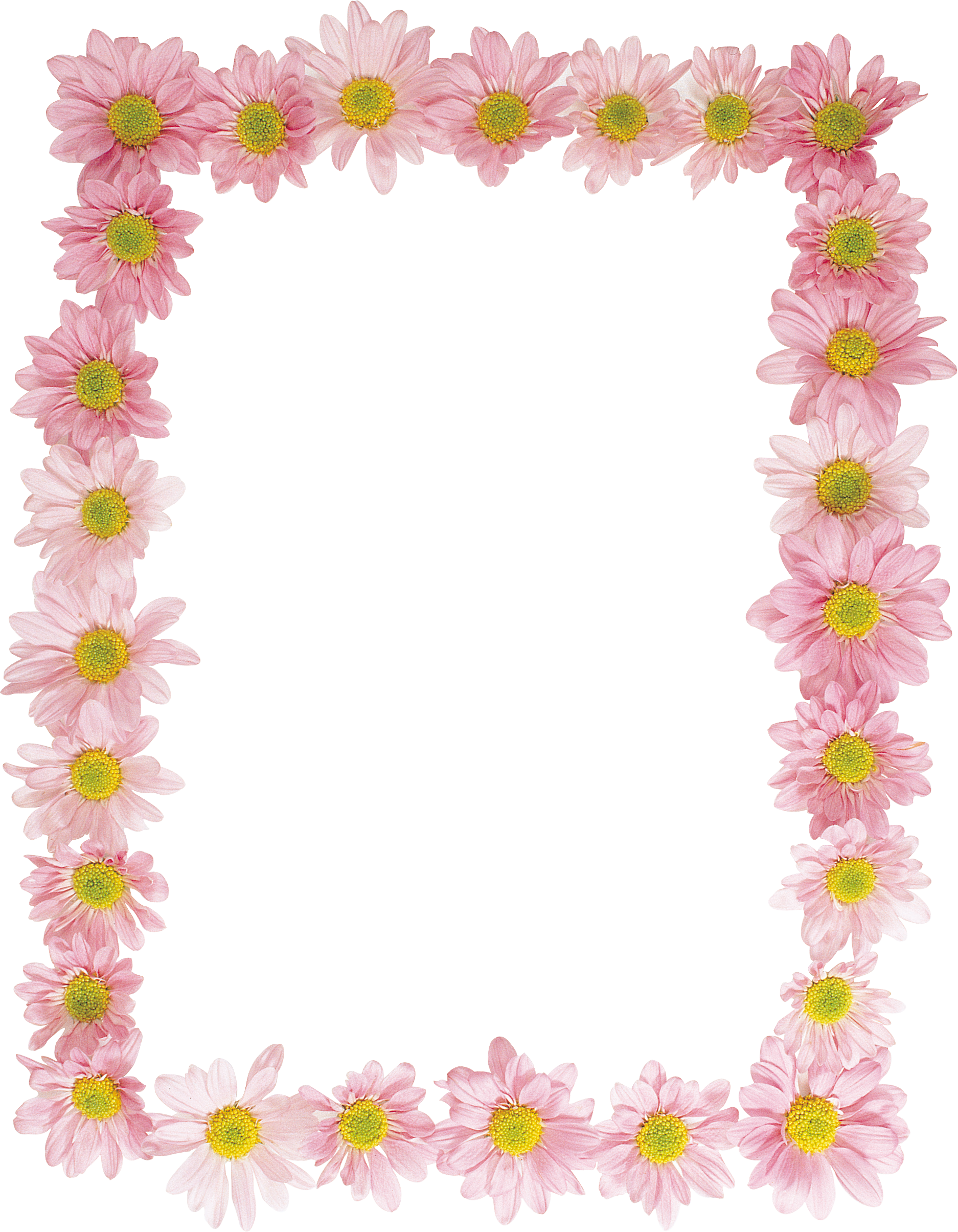 Floral Frame PNG Background