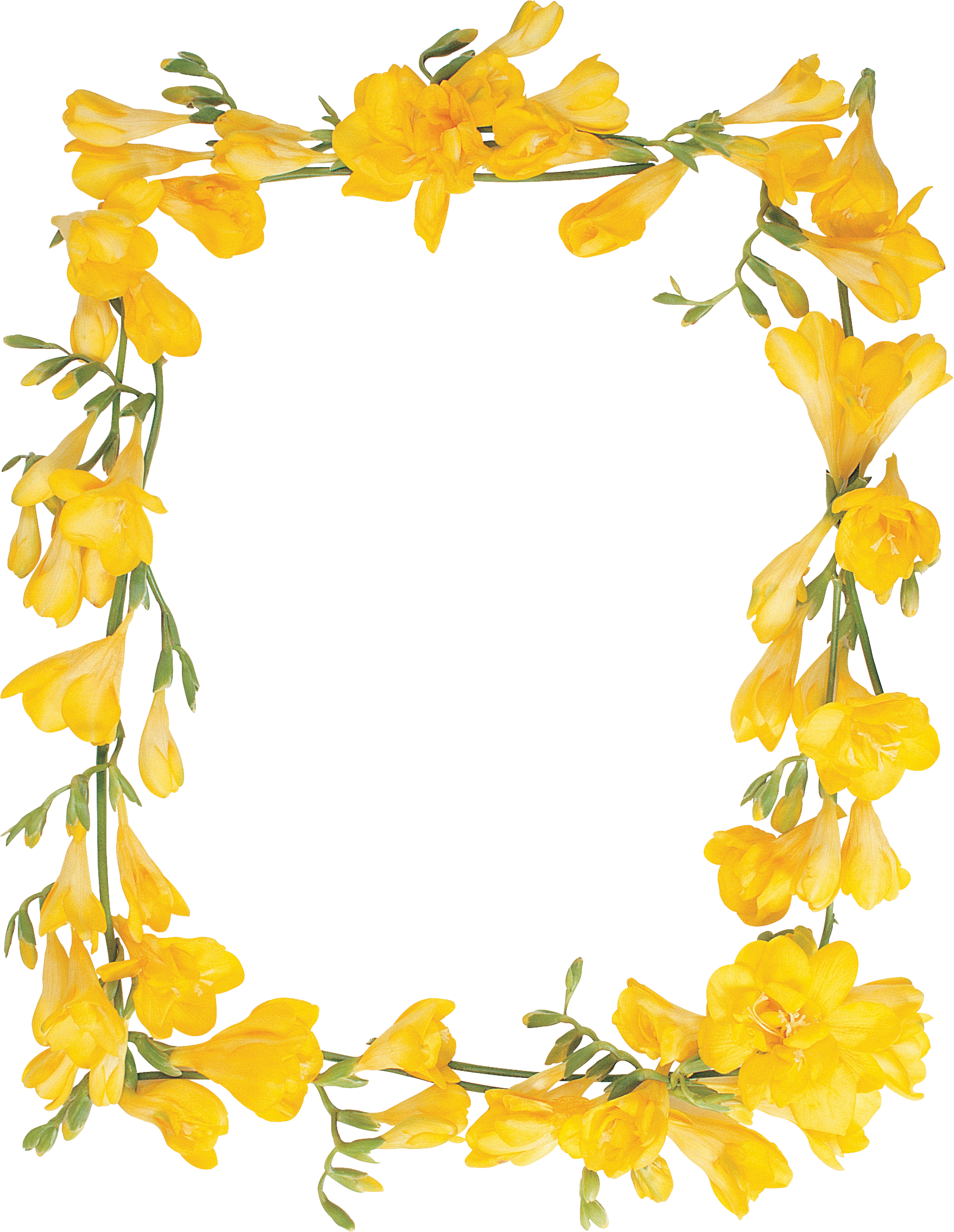 Floral Frame PNG Free File Download