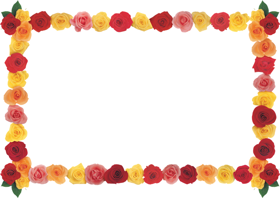 Floral Frame PNG HD Quality