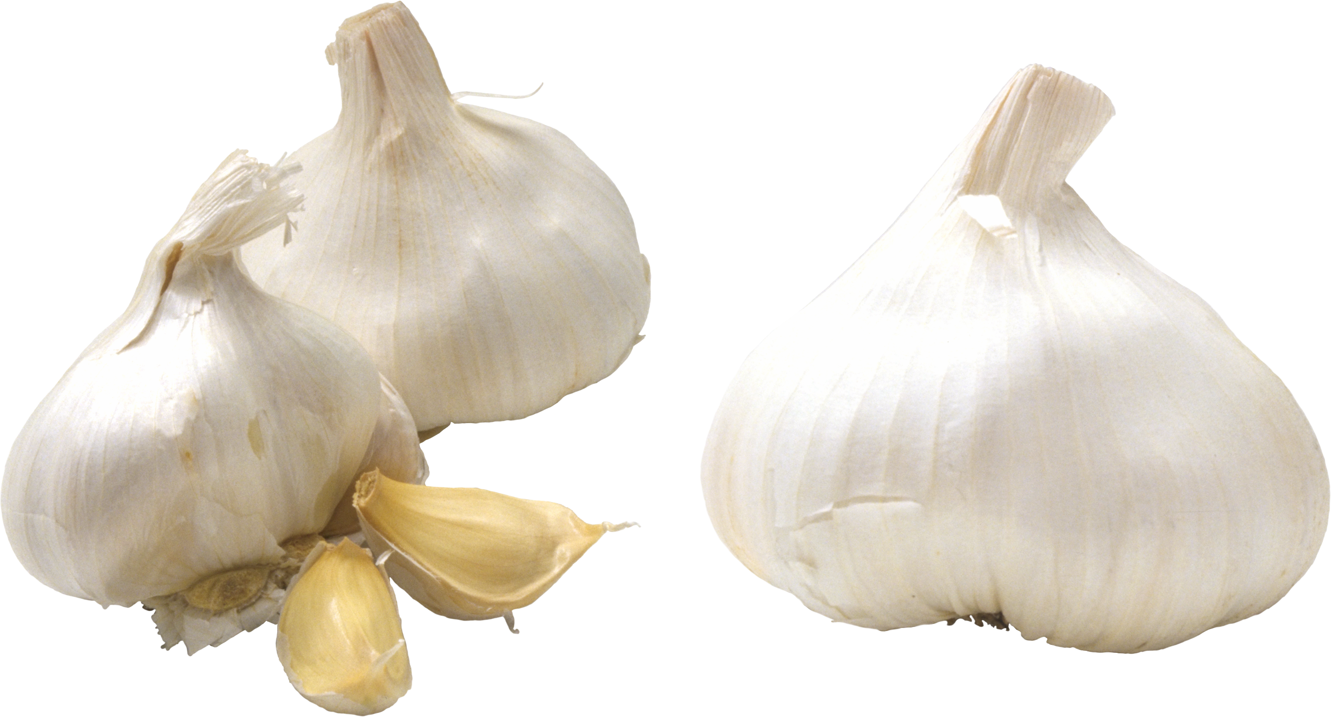 Garlic Background PNG Image