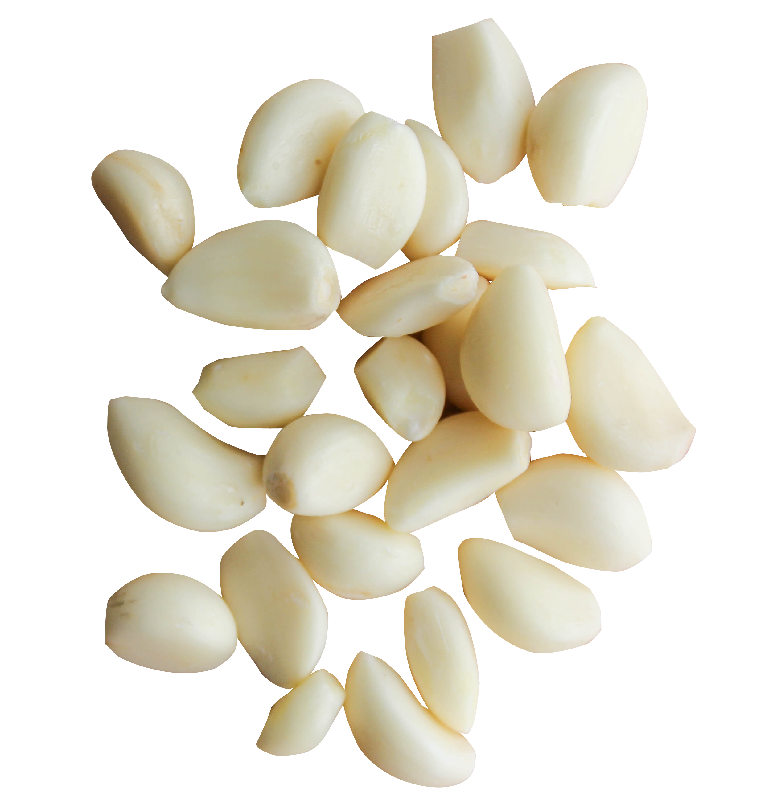 Garlic Background PNG