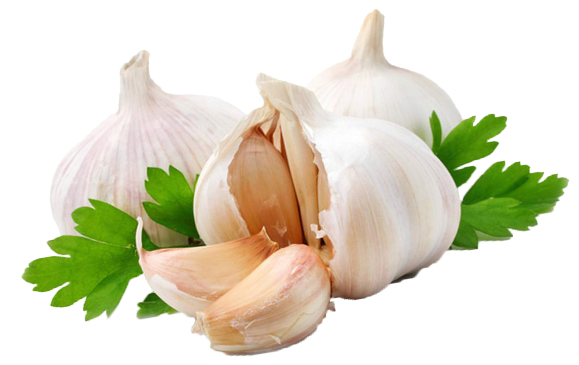 Garlic PNG Background