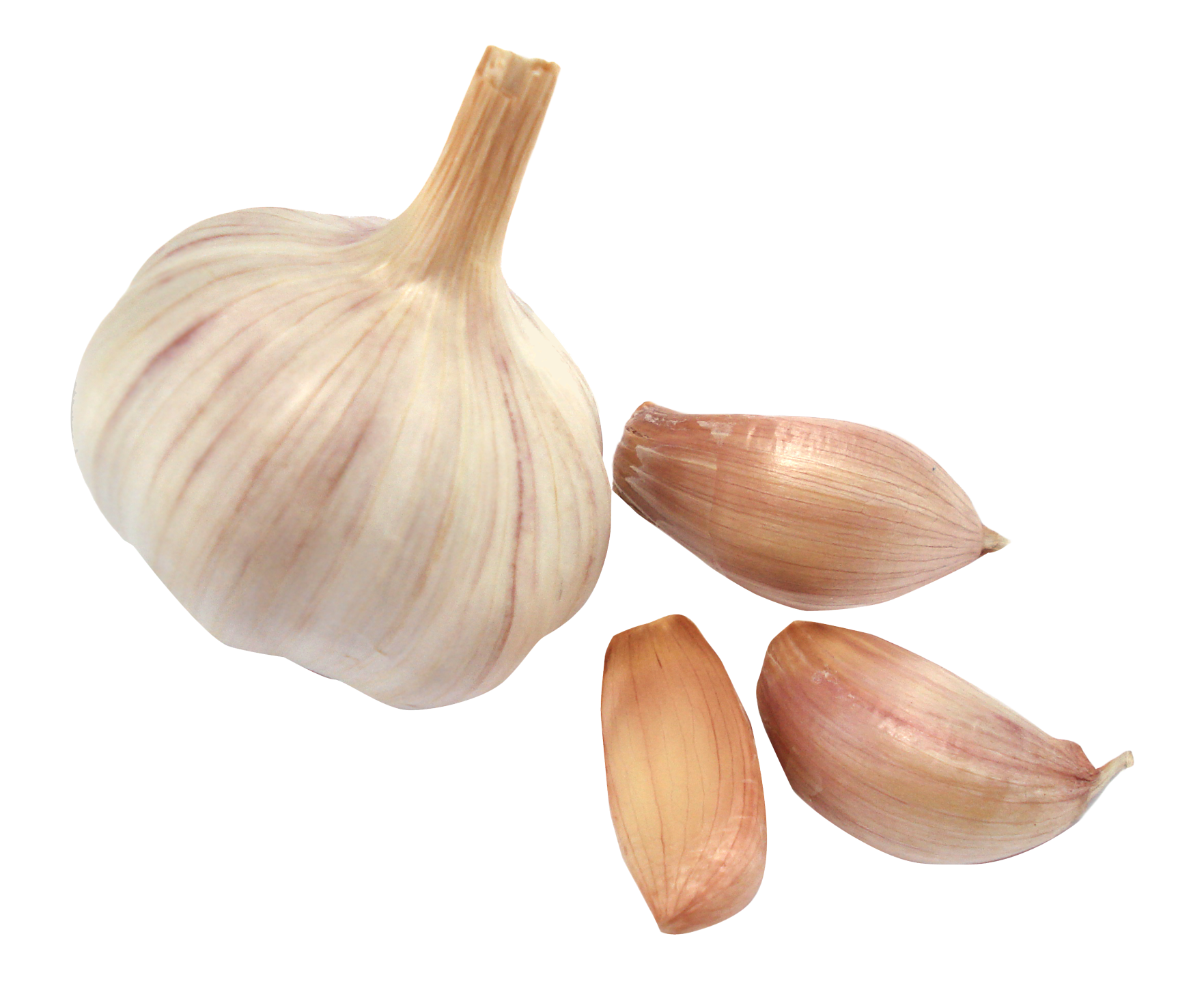 Garlic PNG Free File Download