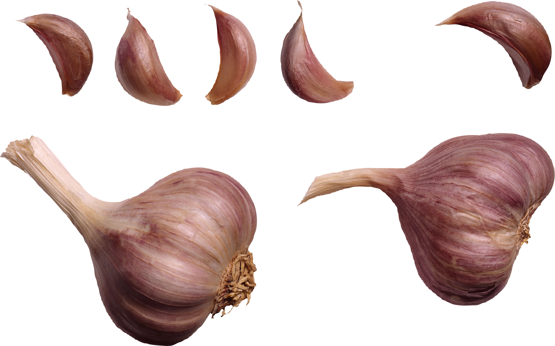 Garlic PNG HD Quality