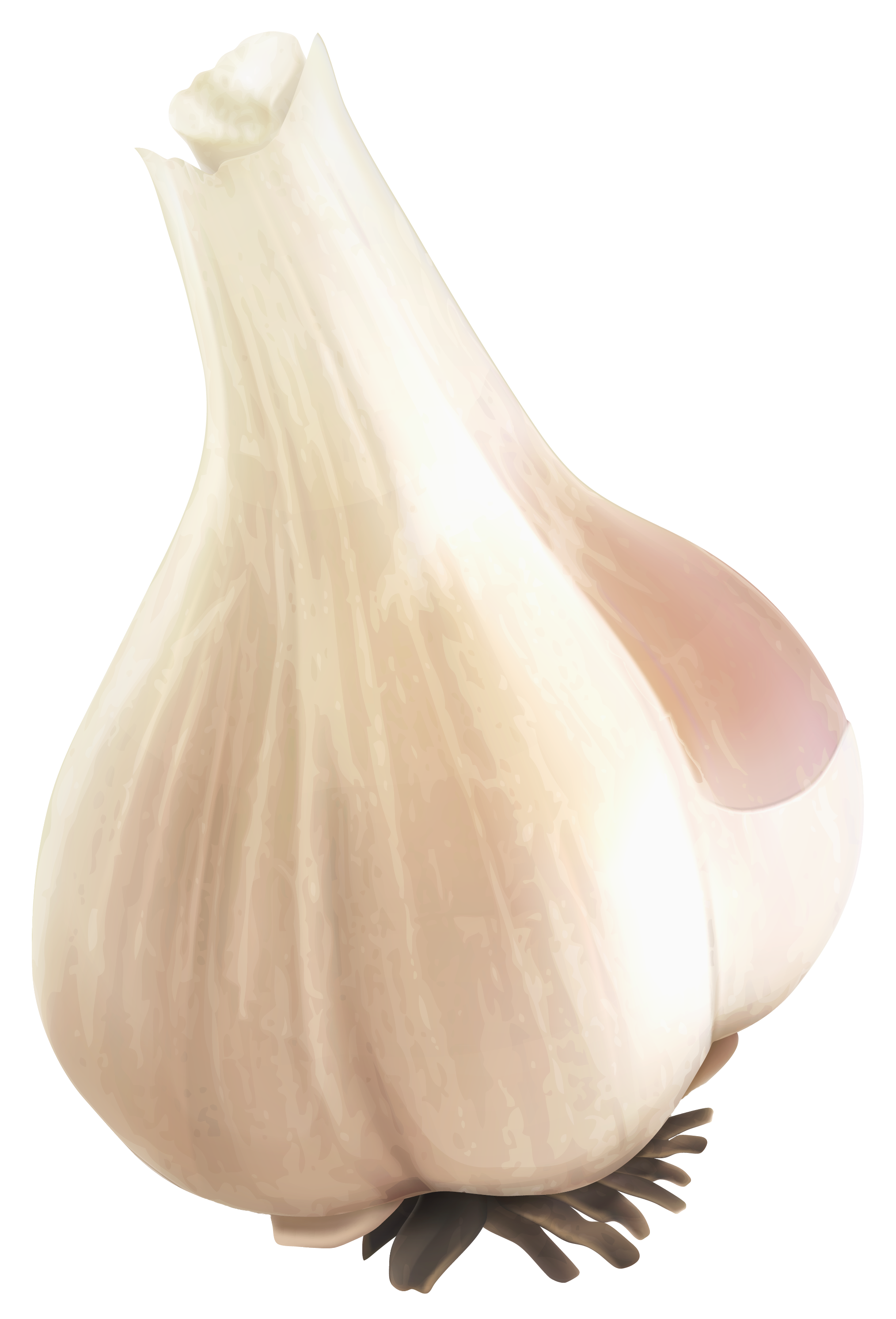 Garlic PNG Photo Image