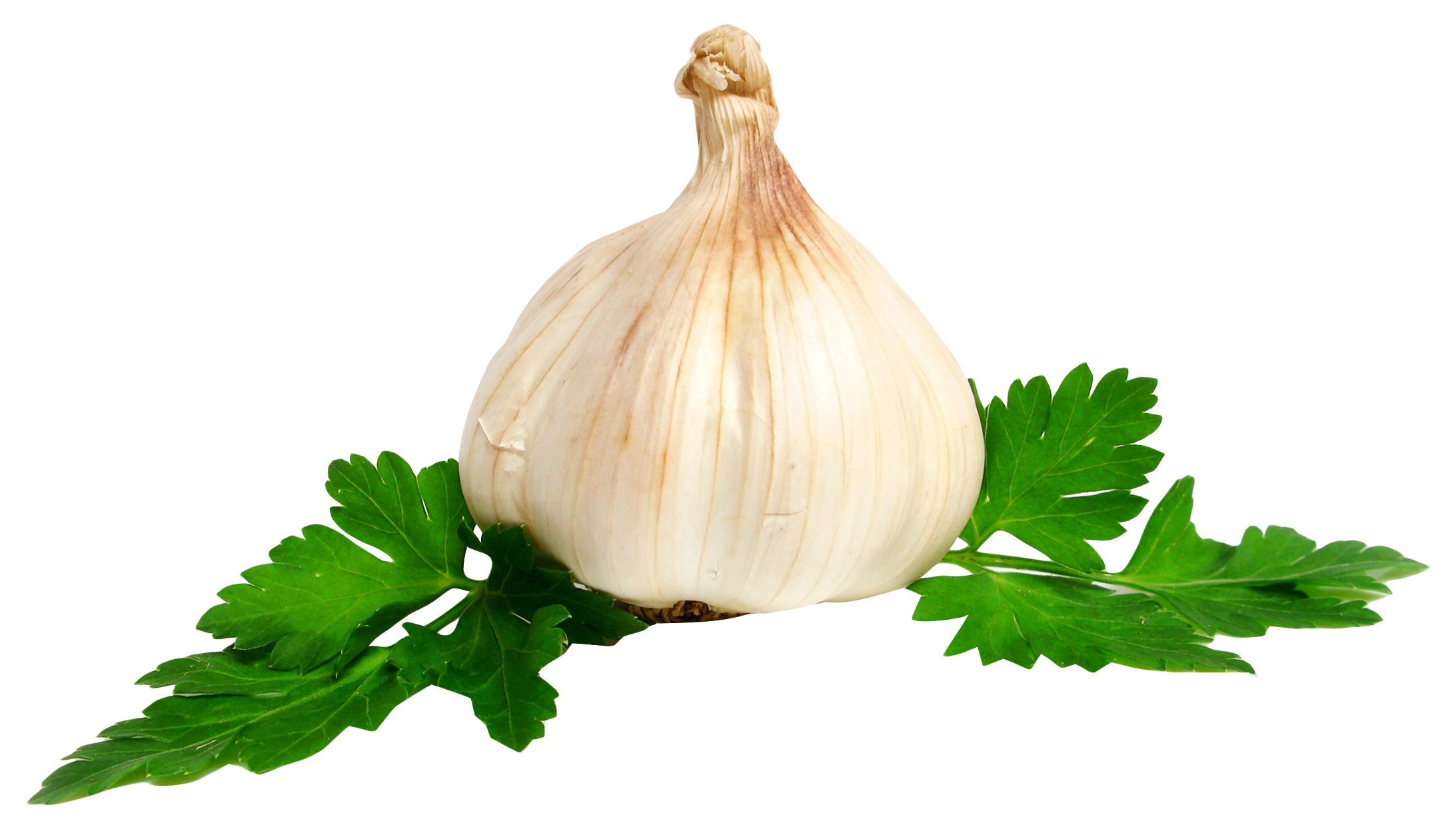 Garlic Transparent Image