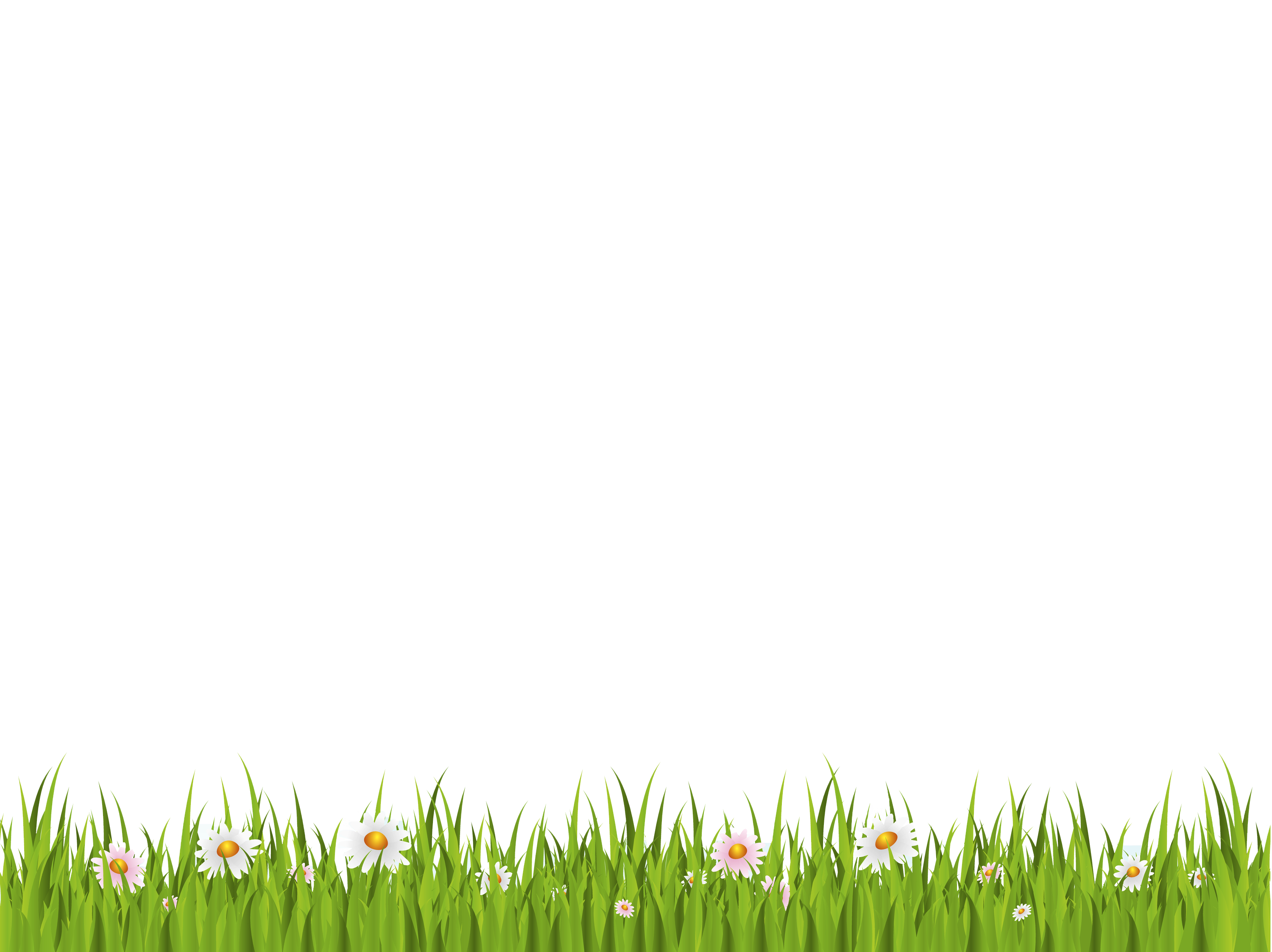 Grass Download Free PNG