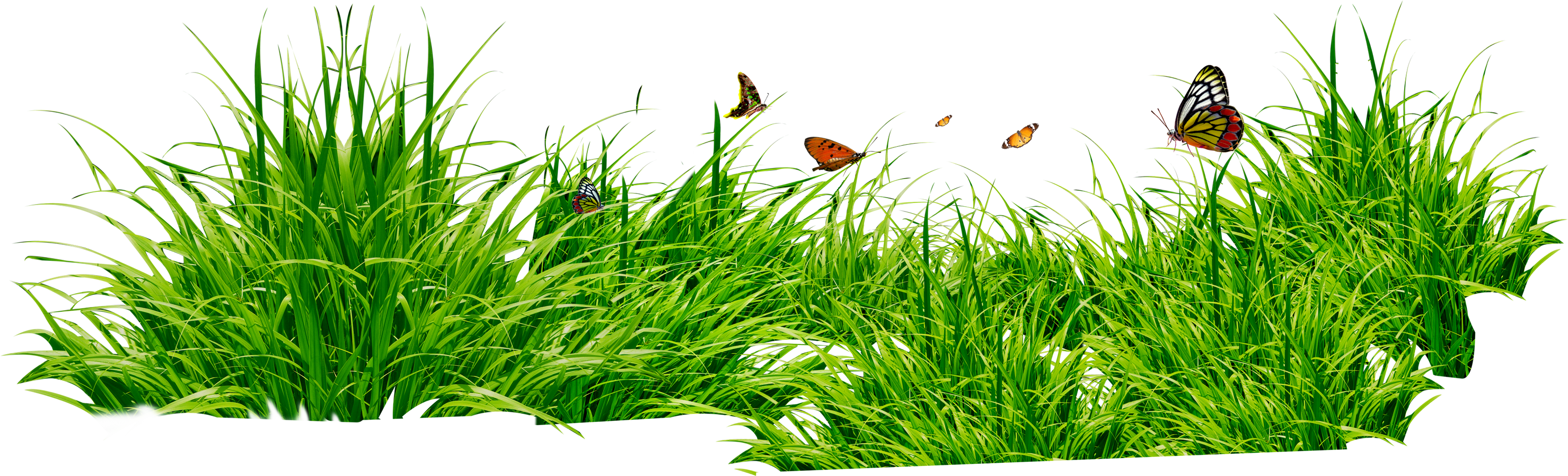 Grass PNG Background