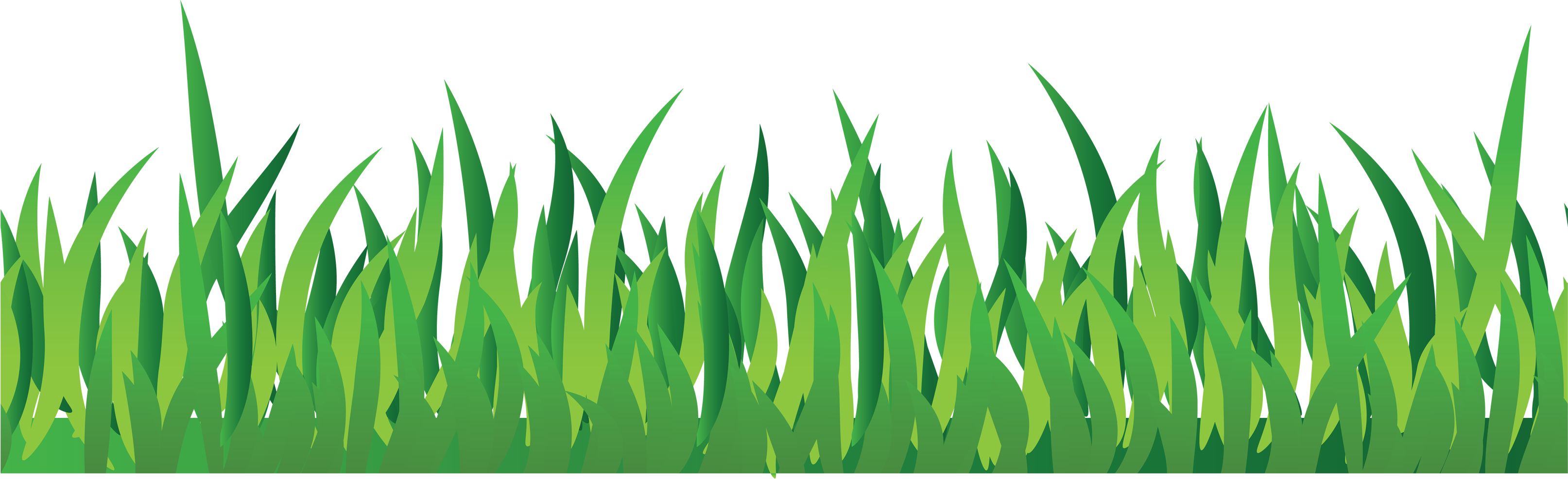 Grass PNG Clipart Background