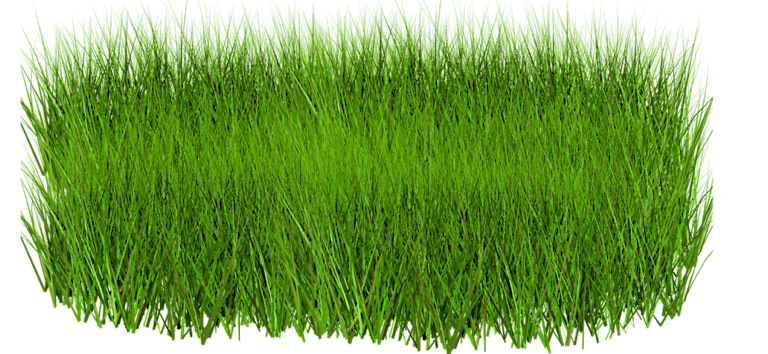 Grass PNG Free File Download
